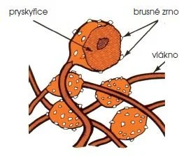 Struktura brusné netkané textilie